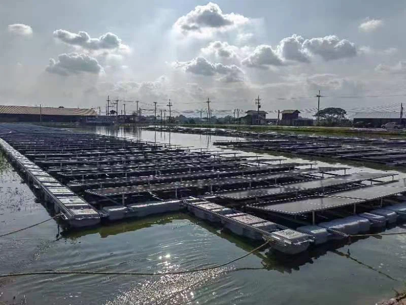 Système PV solaire flottant